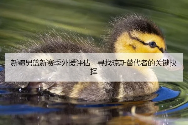 新疆男篮新赛季外援评估：寻找琼斯替代者的关键抉择