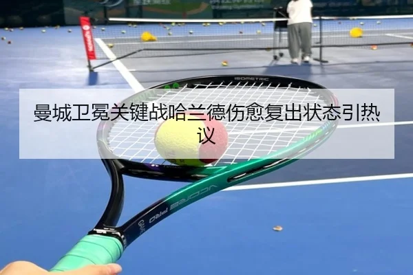 man-cheng-wei-mian-guan-jian-zhan-ha-lan-de-shang-yu-fu-chu-zhuang-tai-yin-re-yi-2-588.jpg