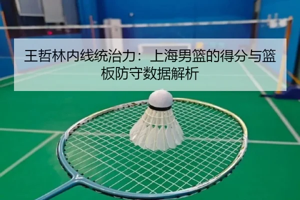 王哲林内线统治力：上海男篮的得分与篮板防守数据解析