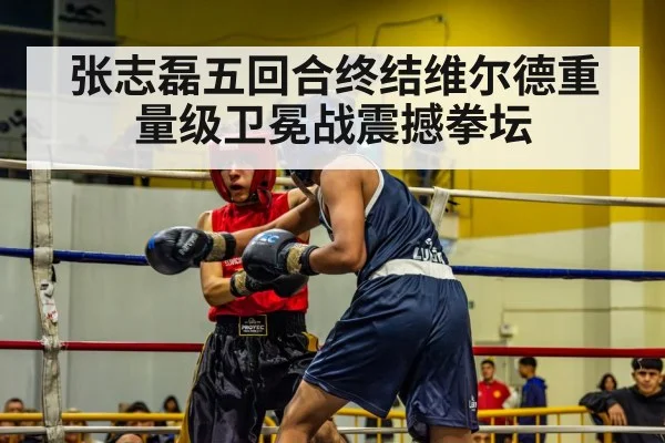 张志磊五回合终结维尔德重量级卫冕战震撼拳坛