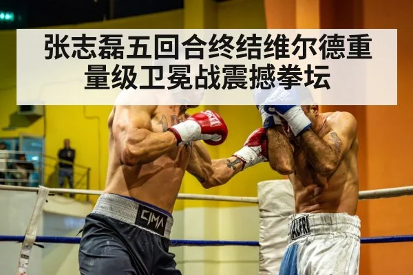 heavyweight boxing match